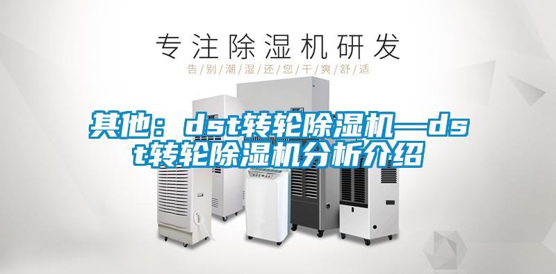 其他：dst转轮除湿机—dst转轮除湿机分析介绍