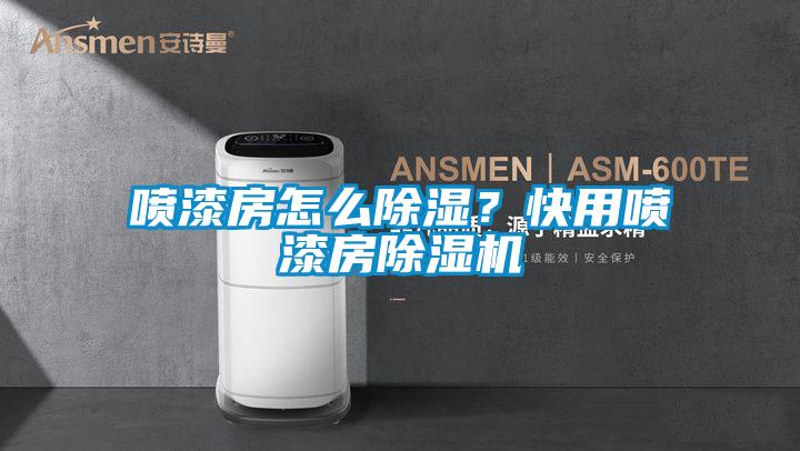 喷漆房怎么除湿？快用喷漆房除湿机
