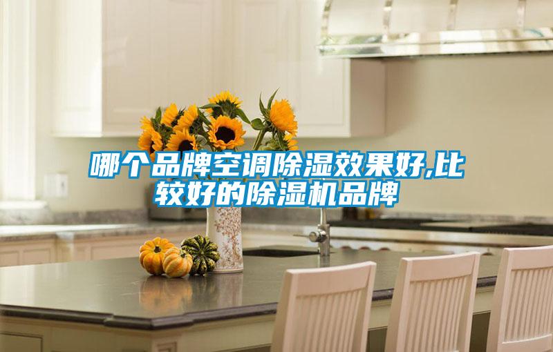 哪个品牌空调除湿效果好,比较好的除湿机品牌