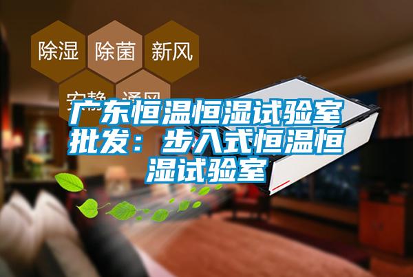 广东恒温恒湿试验室批发：步入式恒温恒湿试验室