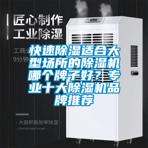 快速除湿适合大型场所的除湿机哪个牌子好？专业十大除湿机品牌推荐