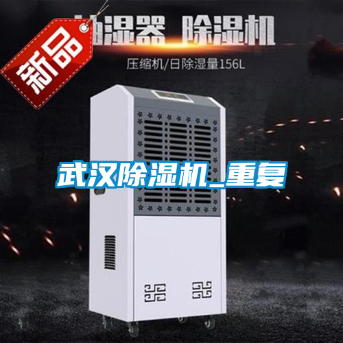 武汉除湿机_重复