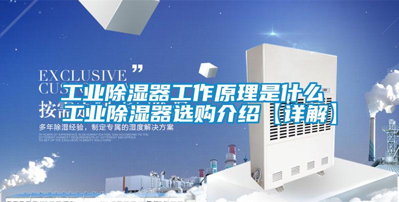 工业除湿器工作原理是什么 工业除湿器选购介绍【详解】