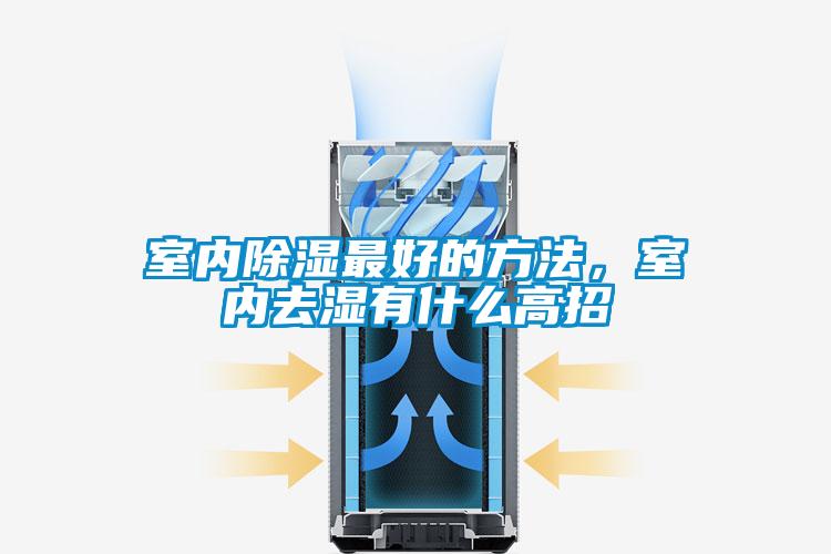 室内除湿最好的方法，室内去湿有什么高招
