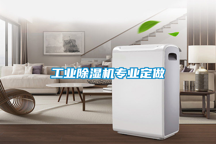 工业除湿机专业定做