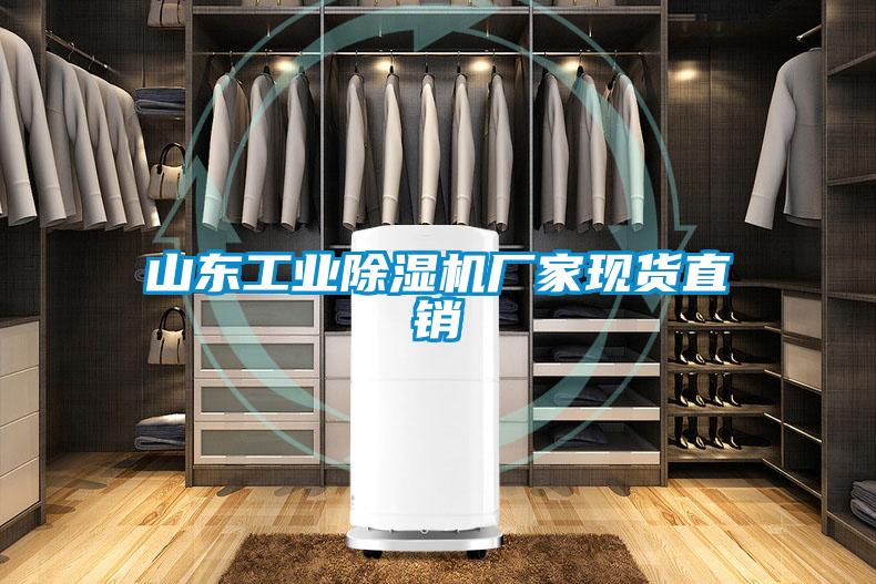 山东工业除湿机厂家现货直销