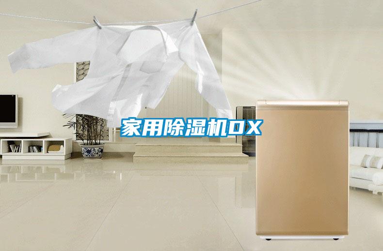 家用除湿机DX