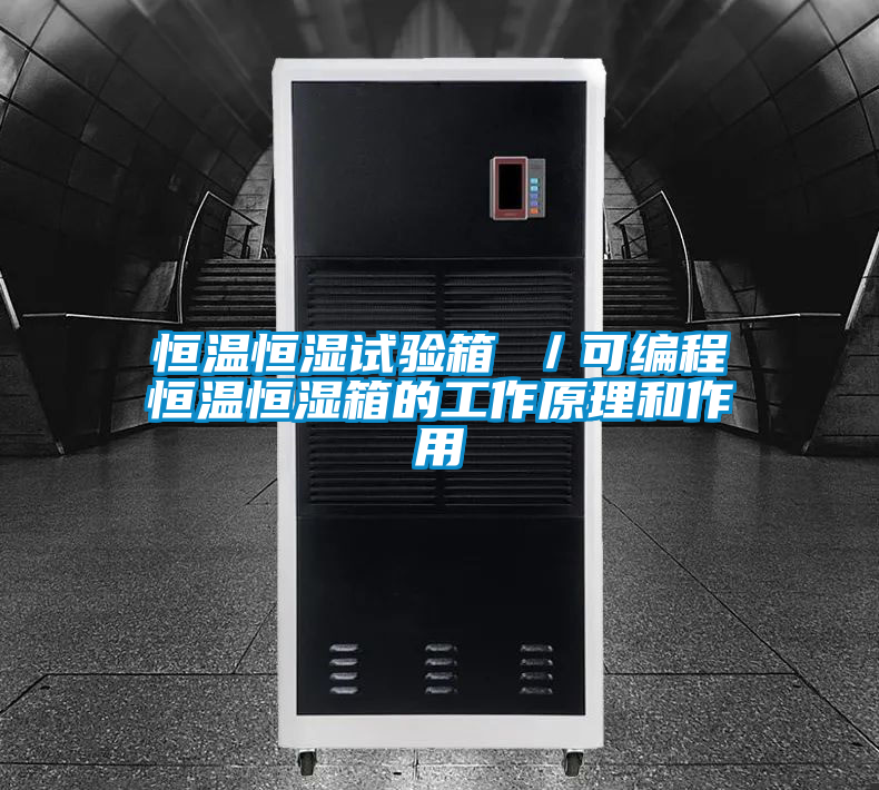 恒温恒湿试验箱 ／可编程恒温恒湿箱的工作原理和作用