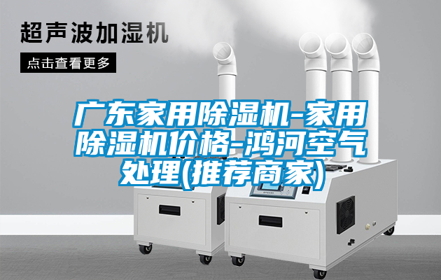 广东家用除湿机-家用除湿机价格-鸿河空气处理(推荐商家)