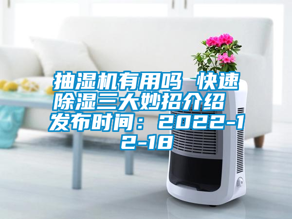 抽湿机有用吗 快速除湿三大妙招介绍 发布时间：2022-12-18