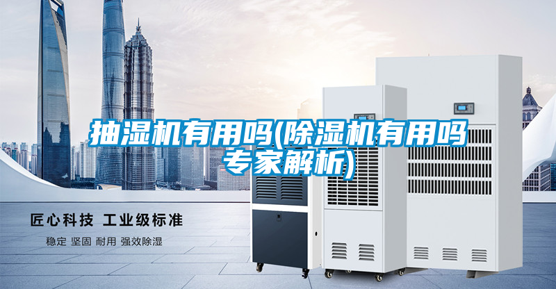 抽湿机有用吗(除湿机有用吗 专家解析)
