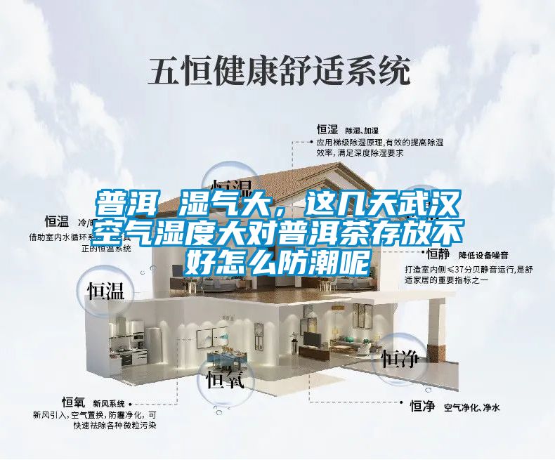普洱 湿气大，这几天武汉空气湿度大对普洱茶存放不好怎么防潮呢