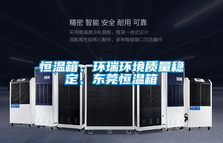 恒温箱、环瑞环境质量稳定、东莞恒温箱