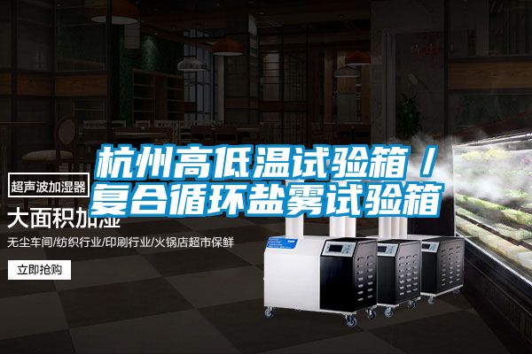杭州高低温试验箱／复合循环盐雾试验箱