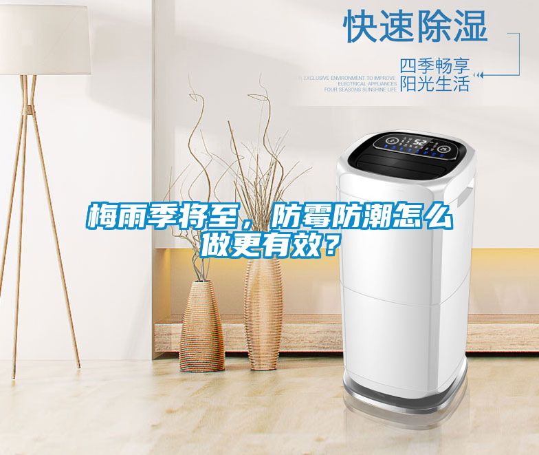 梅雨季将至，防霉防潮怎么做更有效？