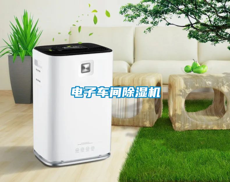 电子车间除湿机