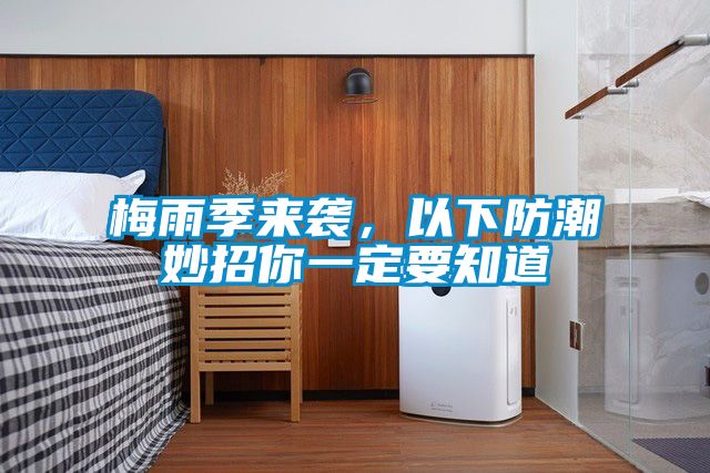 梅雨季来袭，以下防潮妙招你一定要知道