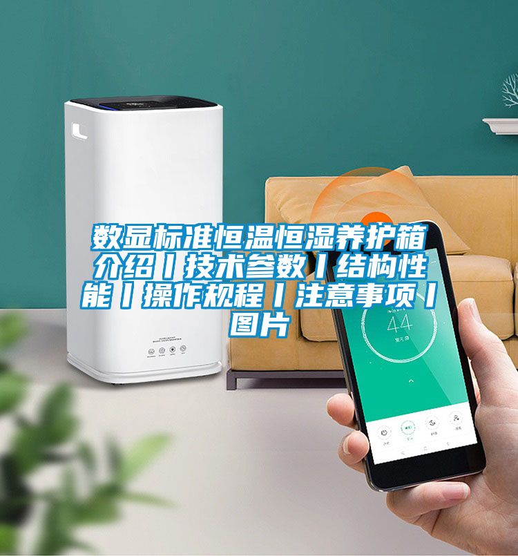 数显标准恒温恒湿养护箱介绍丨技术参数丨结构性能丨操作规程丨注意事项丨图片