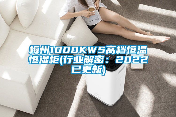梅州1000KWS高档恒温恒湿柜(行业解密：2022已更新)