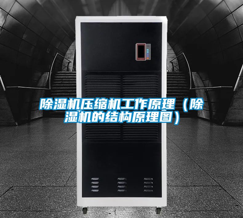 除湿机压缩机工作原理（除湿机的结构原理图）