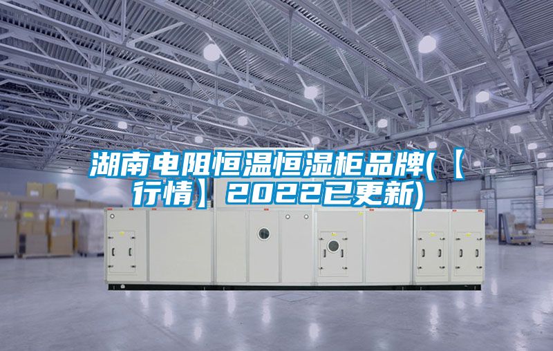 湖南电阻恒温恒湿柜品牌(【行情】2022已更新)
