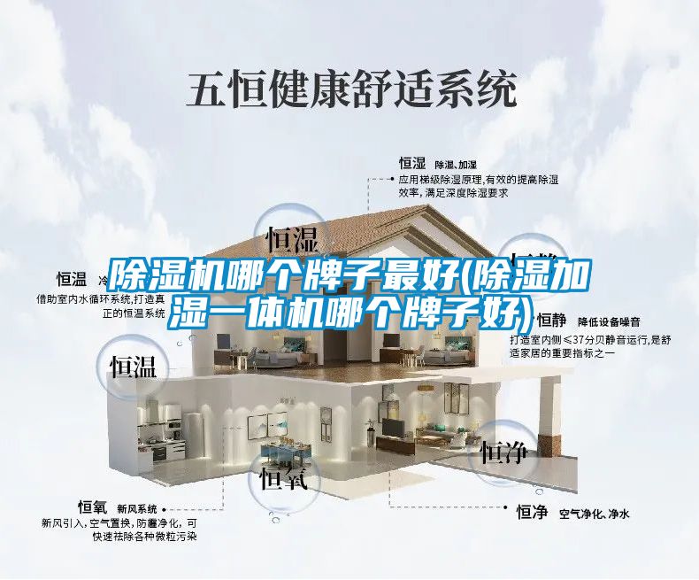 除湿机哪个牌子最好(除湿加湿一体机哪个牌子好)