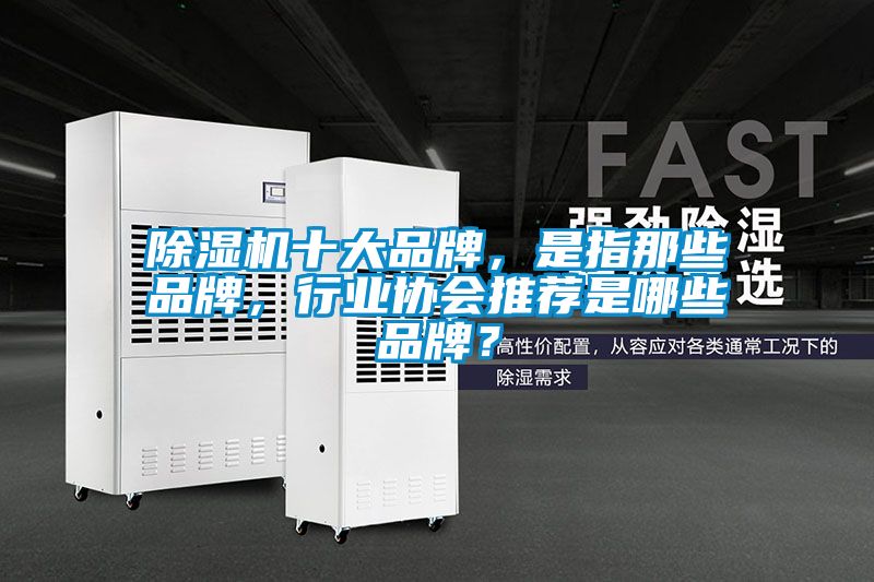 除湿机十大品牌，是指那些品牌，行业协会推荐是哪些品牌？