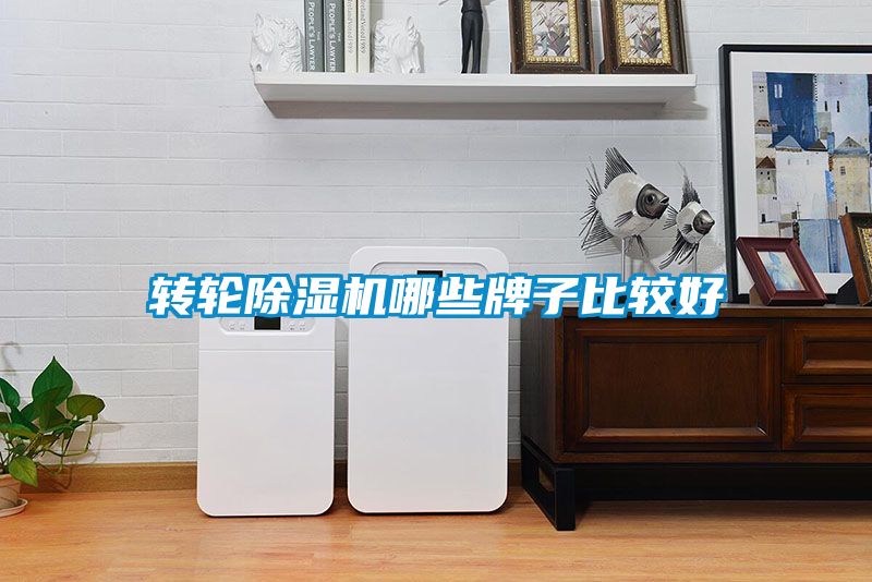 转轮除湿机哪些牌子比较好