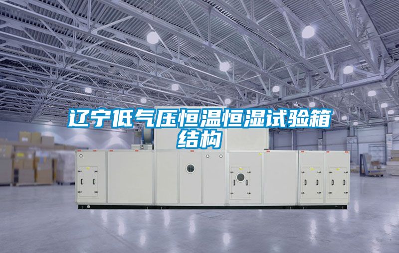 辽宁低气压恒温恒湿试验箱结构
