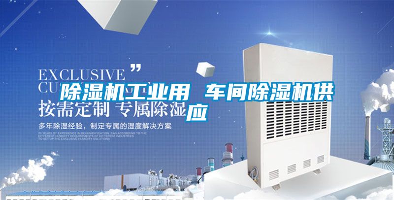除湿机工业用 车间除湿机供应