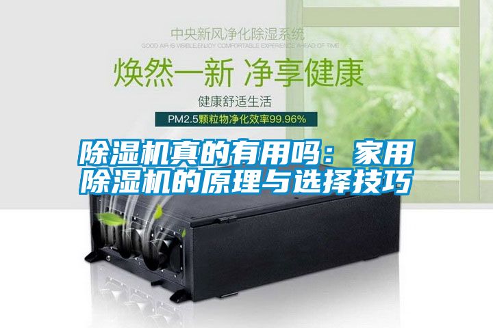 除湿机真的有用吗：家用除湿机的原理与选择技巧