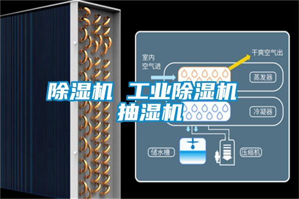 除湿机 工业除湿机 抽湿机