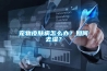 宠物皮肤病怎么办？如何去湿？