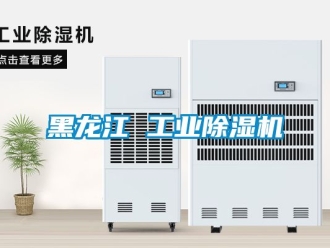 常见问题黑龙江 工业除湿机