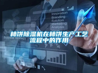 知识百科柿饼除湿机在柿饼生产工艺流程中的作用