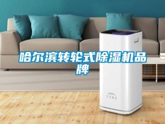 常见问题哈尔滨转轮式除湿机品牌