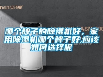 常见问题哪个牌子的除湿机好，家用除湿机哪个牌子好,应该如何选择呢