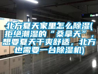 企业新闻北方夏天家里怎么除湿(拒绝潮湿的“桑拿天”，想要夏天干爽舒适，北方也需要一台除湿机)