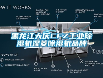 常见问题黑龙江大庆CFZ工业除湿机湿菱除湿机品牌