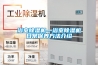 浴室除湿机—浴室除湿机日常保养方法介绍