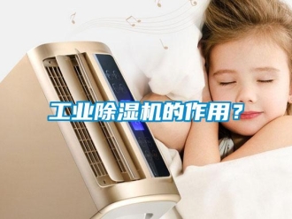 企业新闻工业除湿机的作用？