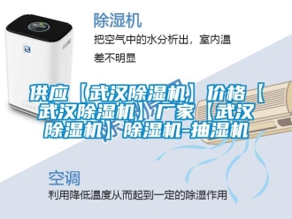 企业新闻供应【武汉除湿机】价格【武汉除湿机】厂家【武汉除湿机】除湿机-抽湿机