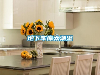企业新闻地下车库太潮湿