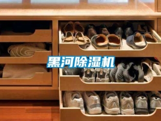 行业新闻黑河除湿机
