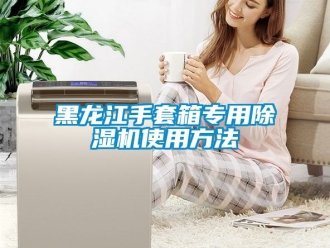 行业新闻黑龙江手套箱专用除湿机使用方法