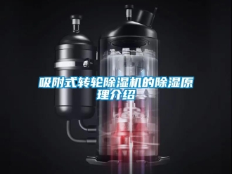 常见问题吸附式转轮除湿机的除湿原理介绍