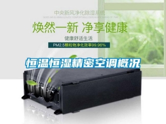 行业新闻恒温恒湿精密空调概况