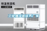 工业抽湿机优秀厂家