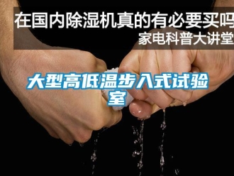 常见问题大型高低温步入式试验室