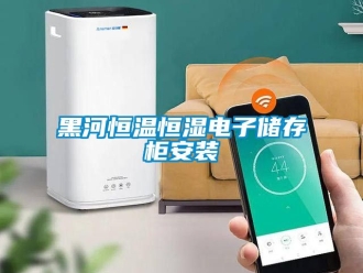 知识百科黑河恒温恒湿电子储存柜安装